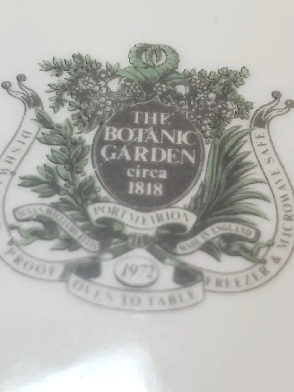 Vintage 1972 Portmeirion Botanic Garden Floral Rhododendron Soup Cereal Bowl